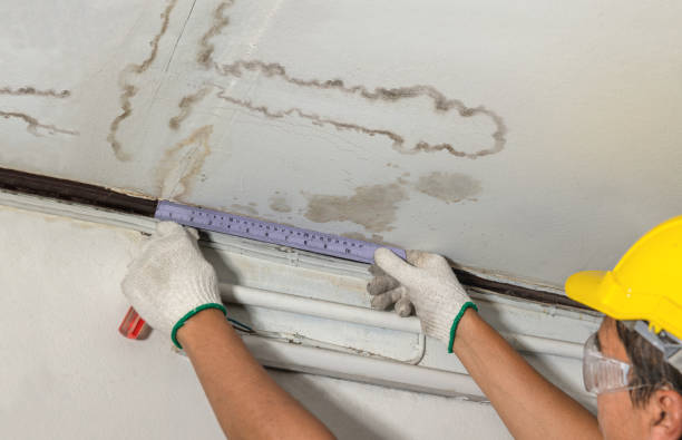 Reliable Burst Pipe Cleanup contractor in Montpelier, OH by Water Damage Irwin